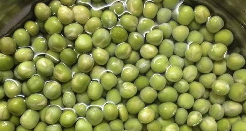【天天特价】豌豆粒 生豌豆 生青豌豆粒 新鲜干豌豆4斤 青豆粒