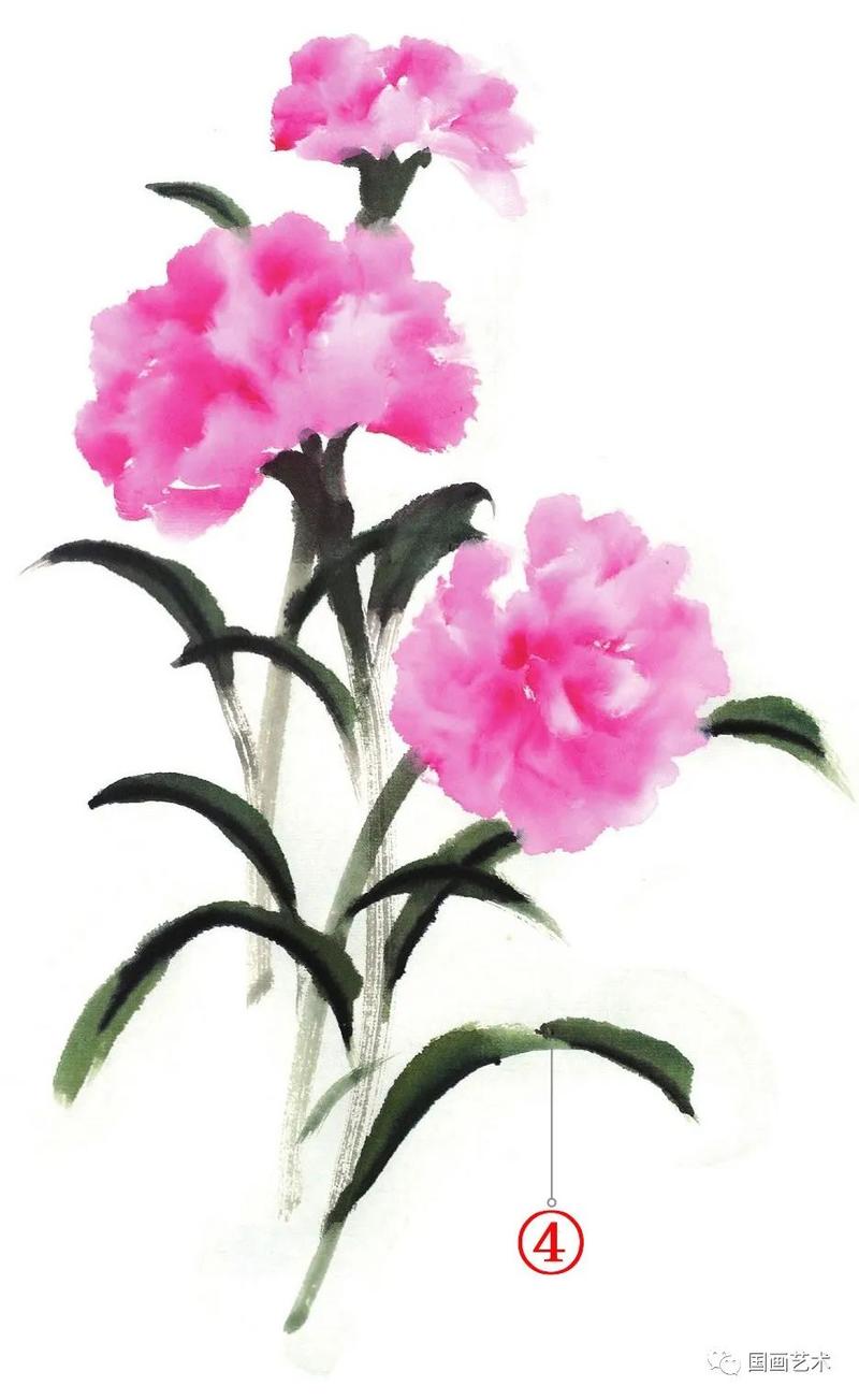 图文教程:写意康乃馨画法
