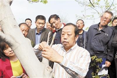 "农民教授"李保国身上的三种情结