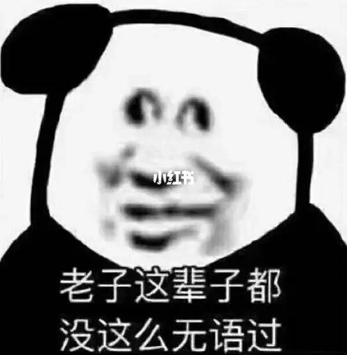 再也不觉得自己挺精了 最缺心眼就是我_表情包_素材_素材_表情包
