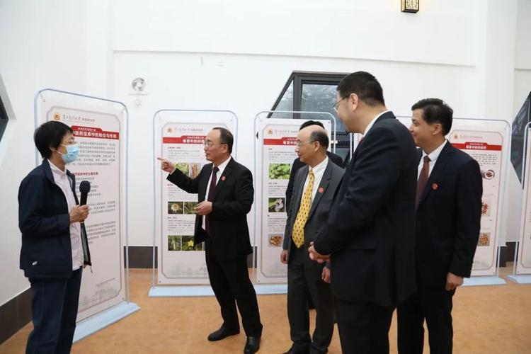 佛山市委副书记,代市长白涛,佛山市顺德区委副书记,代区长区柱明,南方