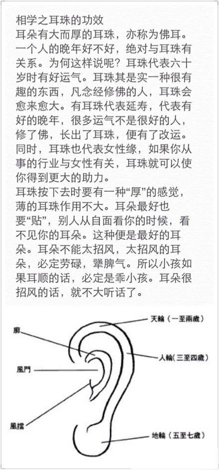 影音 微博分享 facebook分享 收藏 中国易经风水: (相学之耳珠的功效
