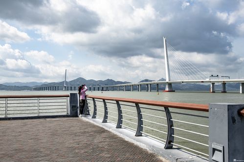 深圳湾大桥