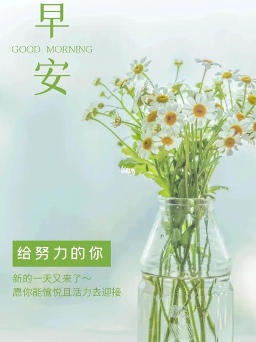 朋友圈8715早安图文94_朋友圈_文案_向日葵_早安朋友圈文案图片