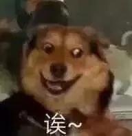 我们会聊两个小时的!哈哈哈哈!想不到吧!我还没睡!