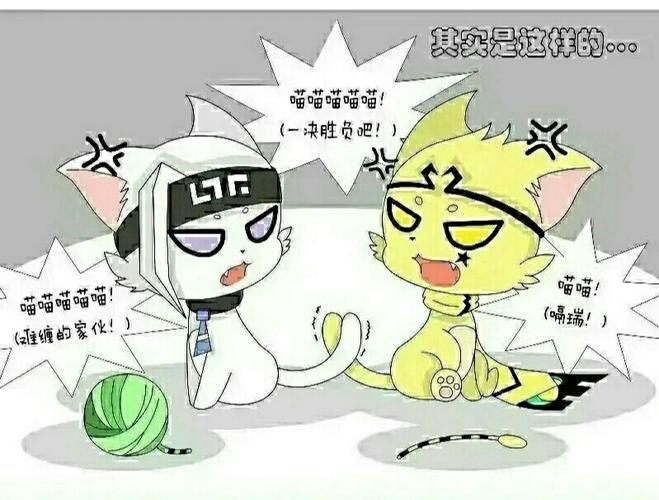 假如凹凸世界的人物变成了猫_凹凸世界_凹凸世界_影视