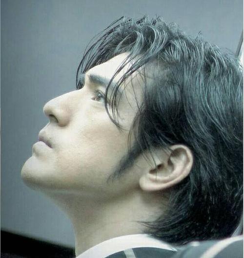 上好像流传着一句话:"吴彦祖,一个全世界女人都想嫁的男人,而金城武