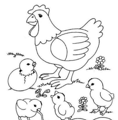 大眼的小鸡上色简笔画要怎么画