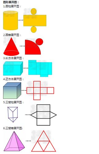 几何体的展开图