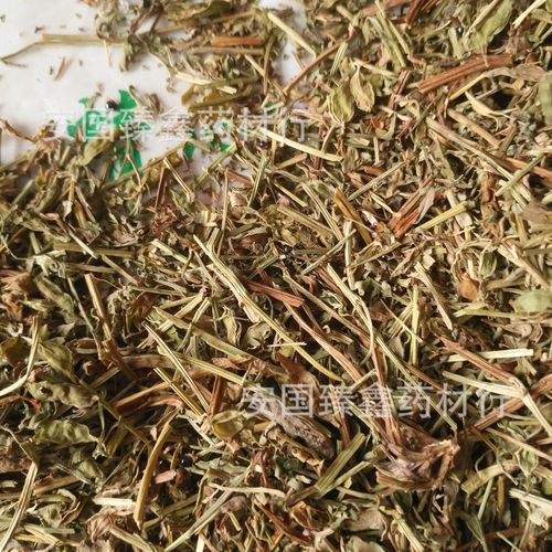 中药材消山虎 刺苞斑鸠菊 紫花地丁 搜山虎