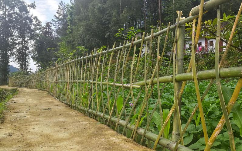 农村喜欢家里"小菜园子"围上篱笆,能起到这3点作用,不