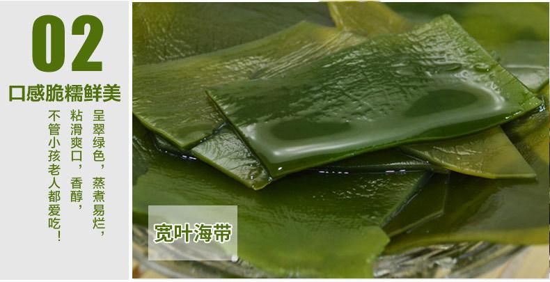 厂家海带批发 150g海之林幼嫩宽叶海带 福建海产品干货海带片