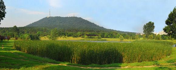 蜀山春晓位于安徽省蜀山区西部合肥西郊9公里,海拔284米,总占地面积为