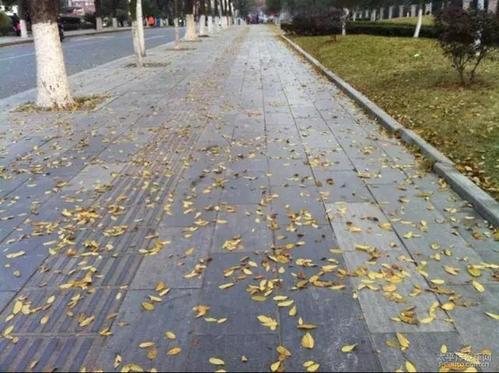 台风 大降温!下周诸暨人将在瑟瑟发抖中度过?意想不到的是