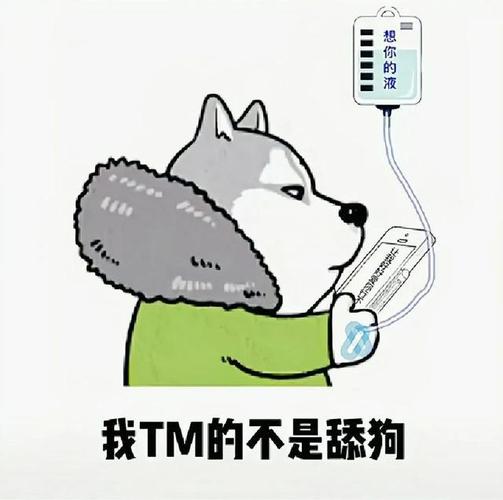 分享一批舔狗语录,你们还知道哪些,留在下面吧