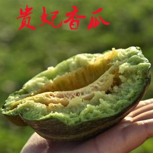 新鲜水果内蒙特产灯笼红甜香瓜蜜瓜新品现摘现发绿色食品顺丰包邮