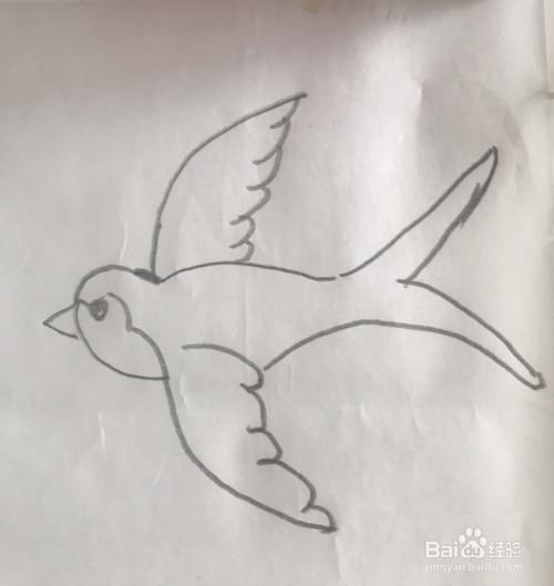 【简笔画】小燕子的分步画法