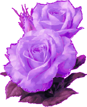 动态花卉_百度图片搜索