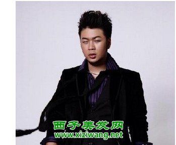 男胖子霸气发型造型效果图(3)