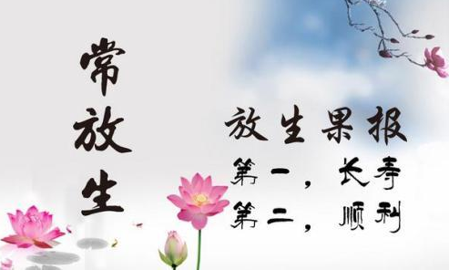 佛家经典禅语净心修身正能量禅意句子