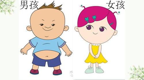 幼儿园-小班-讲义-《男孩女孩》课件