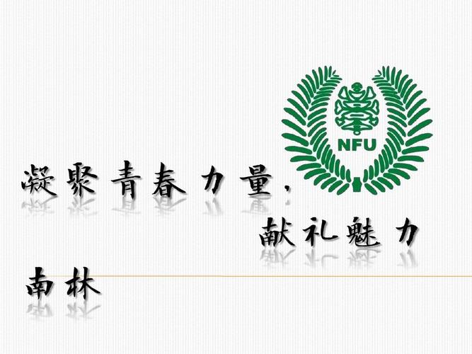 凝聚青春力量ppt