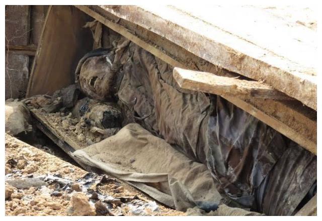 故事小郎中夜行掉进棺材里帮死人翻个身从此大富大贵