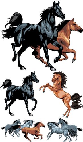 奔跑的马矢量素材