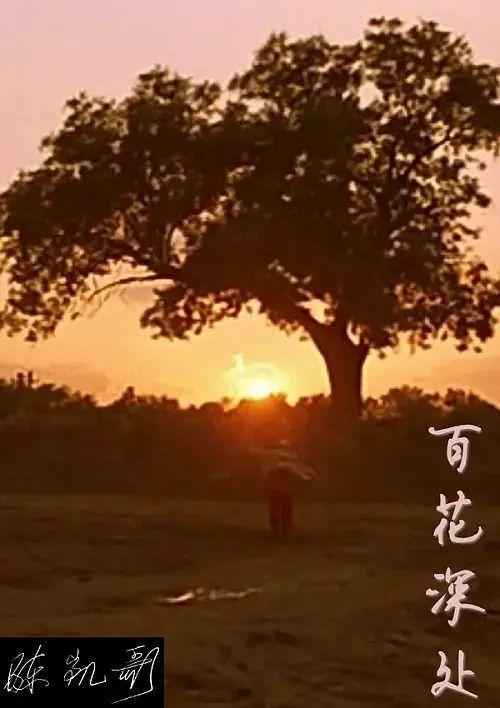 拉片|《百花深处》十分钟年华老去|陈凯歌|电影_网易订阅