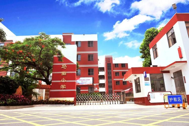 校园一隅 | 马田小学,这里是"小马驹"驰骋的天地