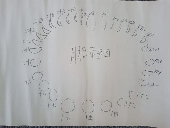六2班暑假科学月相图展2020.