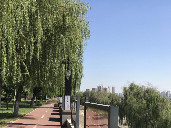2019洛浦公园游玩攻略,洛浦公园,专门建有步道,适.
