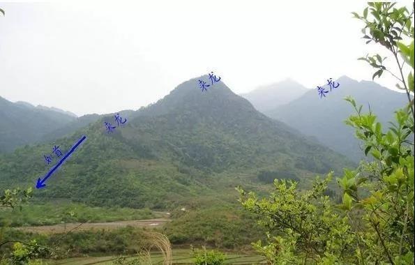 初学入山看地诀窍,寻龙点穴实操讲解,少走弯路