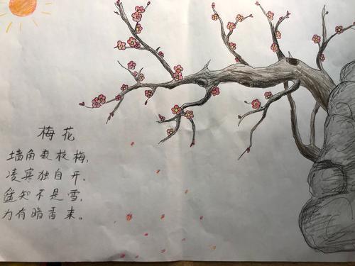 古诗欣赏梅花手抄报 古诗手抄报