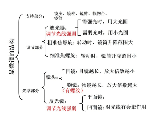 中考生物实验:显微镜的结构及使用方法