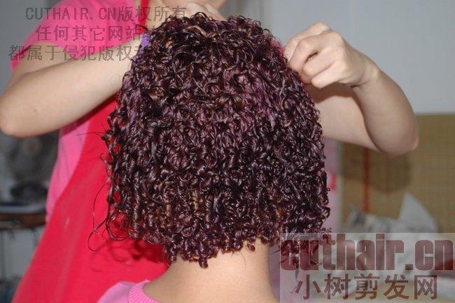 发型图片_2013女士发型卷发短发2013女士流行卷发发型