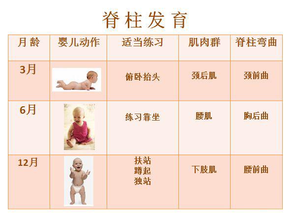 一岁前脊柱发育的3个黄金阶段千万不要错过