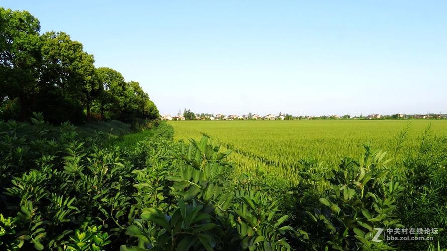 五一节回老家随手拍了些风光片 以飨大家【259】