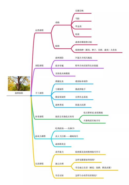 图/森林探险思维导图#自然课程#美丽的仲夏夜之梦,清风徐来,松涛阵阵