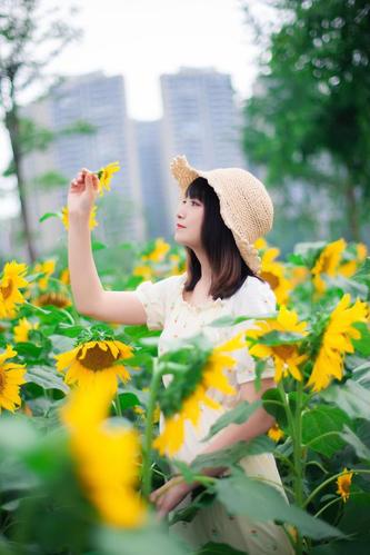 向日葵花季怎么拍出好看的向日葵人像照几个拍照思路学起来