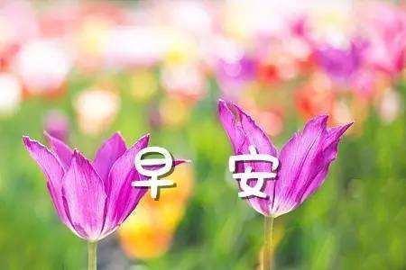 新年祝贺词,励志阳光冬天早安语录,漂亮早上好祝福语