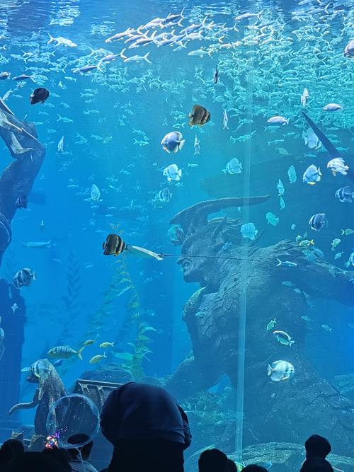 哈尔滨景点/周边游 哈尔滨动植物园 波塞冬海底世界 全部评论 用户