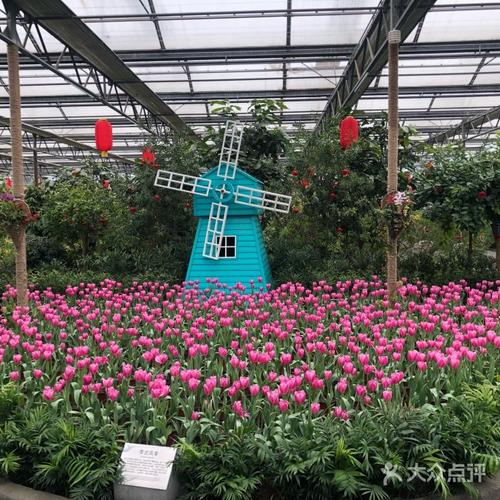 南宫五洲植物乐园