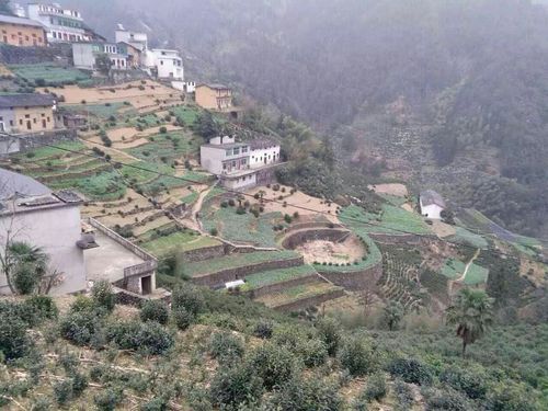 蜈蚣岭村