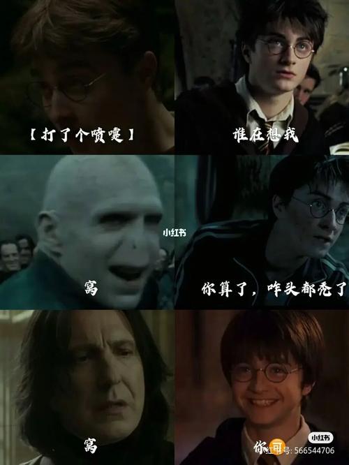 哈利波特搞笑表情_搞笑_哈利波特_哈利波特搞笑表情_素材_表情包