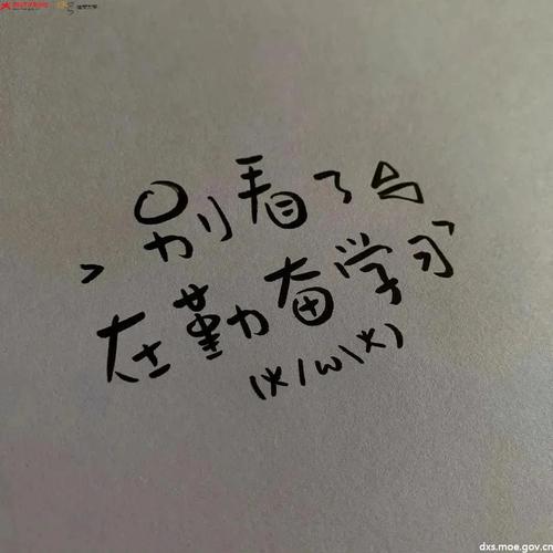 起风了,唯有努力生存