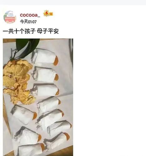 疫情下的人类迷惑行为大赏,沙雕不分国界