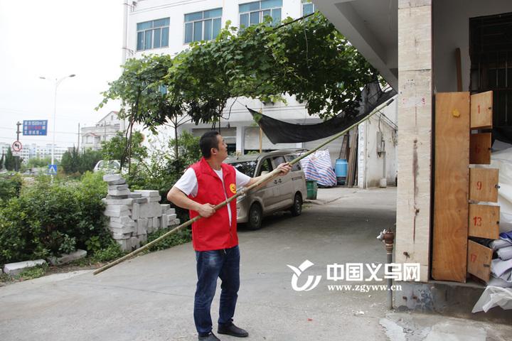 义乌福田街道下沈村:解决问题促发展 旧村需焕发新活力