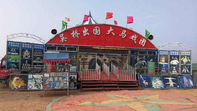 我要去十里香摘草莓看免费吴桥大马戏