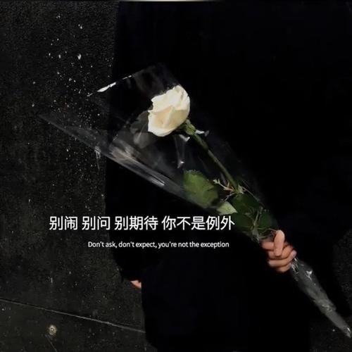 文案背景图别闹别问别期待你不是例外